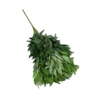 Sztuczna gałązka ruskus w kolorze zielonym 60 cm