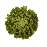 Sztuczna duża chryzantema w kolorze zielonym 16 cm