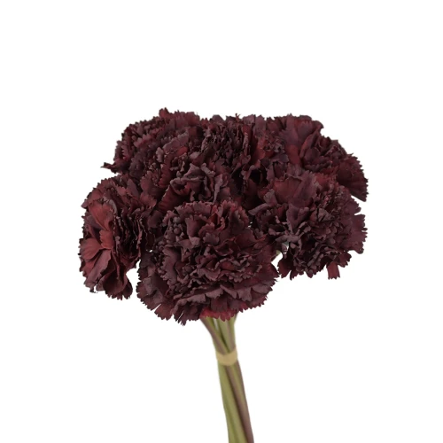 Sztuczna wiązka goździka x7 w kolorze bordowym 30 cm