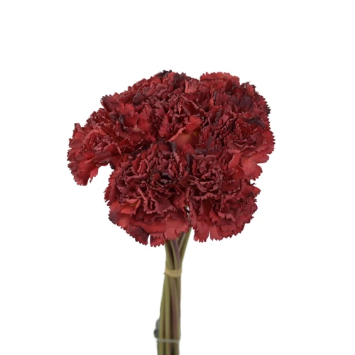 Sztuczna wiązka goździka x7 w kolorze czerwonym 30 cm