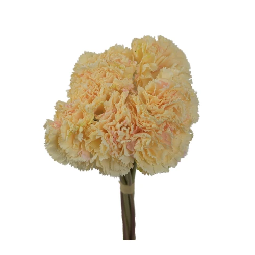 Sztuczna wiązka goździka x7 w kolorze brzoskwiniowym 30 cm