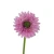 Sztuczna gerbera w kolorze fioletowym 47 cm
