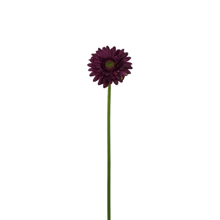 Sztuczna gerbera w kolorze bordowym 47 cm