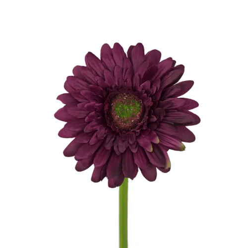 Sztuczna gerbera w kolorze bordowym 47 cm