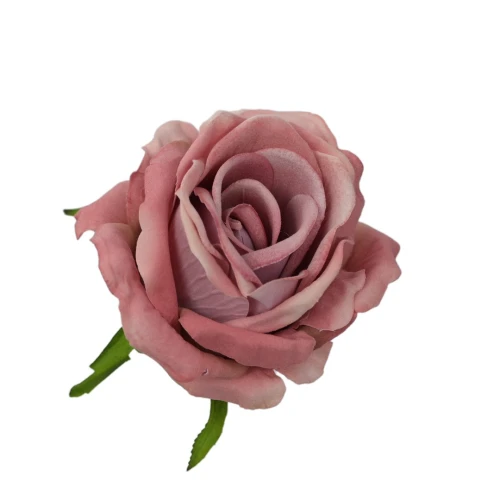 Róża zamsz 11 cm