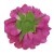 Sztuczna piwonia rozwinięta w kolorze fuksji 15 cm