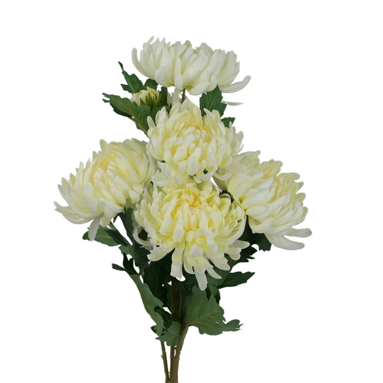 Sztuczny bukiet chryzantemy x5 w kolorze kremowym 63 cm