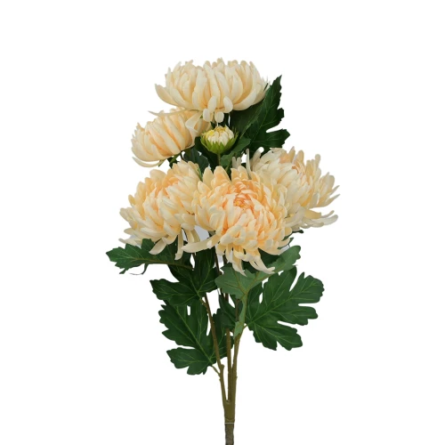 Sztuczny bukiet chryzantemy x5 w kolorze waniliowym 63 cm