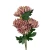 Bukiet chryzantema 63 cm