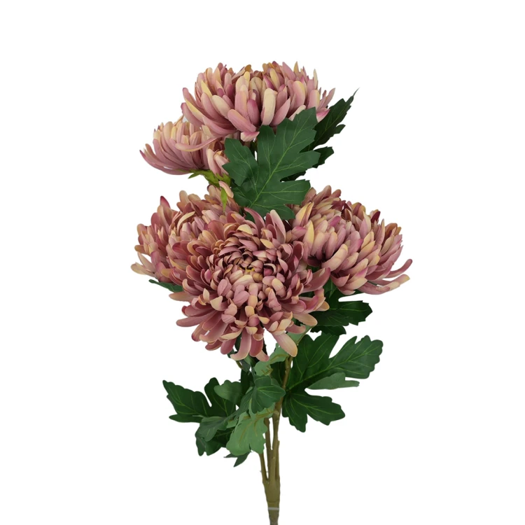 Bukiet chryzantema 63 cm