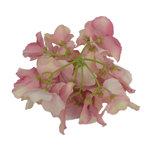 Sztuczna hortensja w kolorze flamingo 19 cm