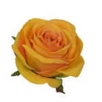 Sztuczna róża z listkiem w kolorze pomarańczowo/żółtym 10 cm