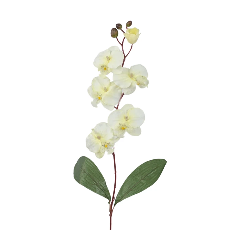 Sztuczny storczyk pojedynczy w kolorze kremowym 77 cm