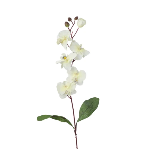 Sztuczny storczyk pojedynczy w kolorze jasno kremowym 77 cm