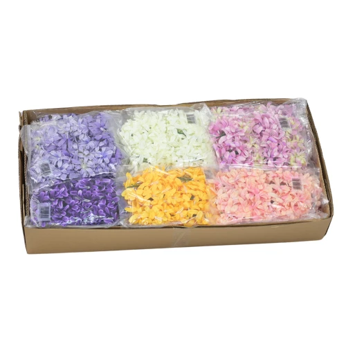 Karton hiacynta główka mix 1