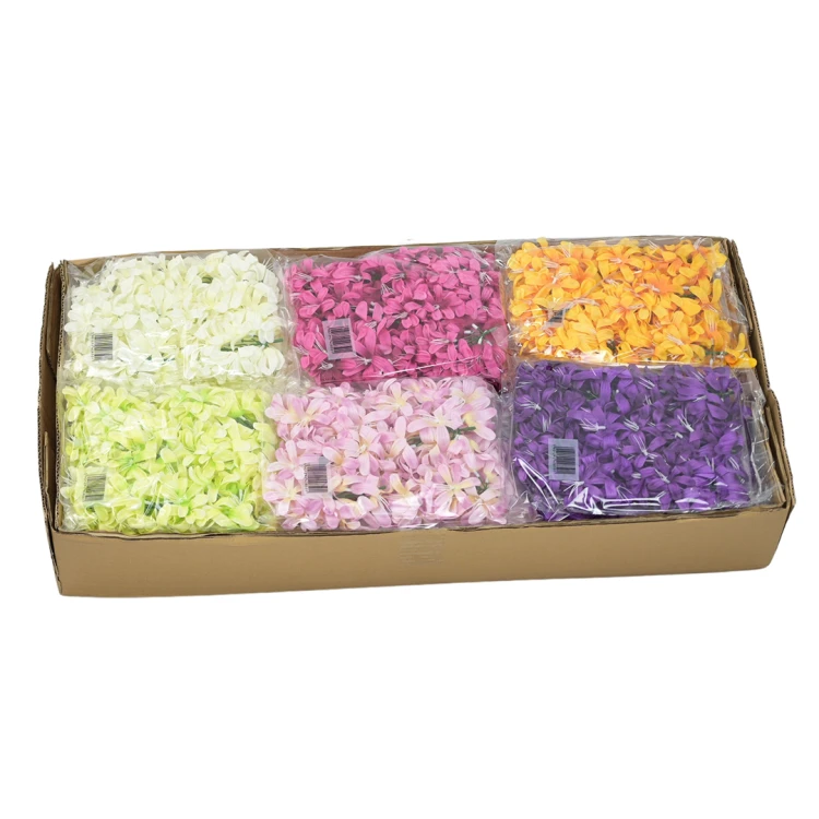 Karton hiacynta główka mix 2