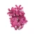 Hiacynt głowa 14 cm
