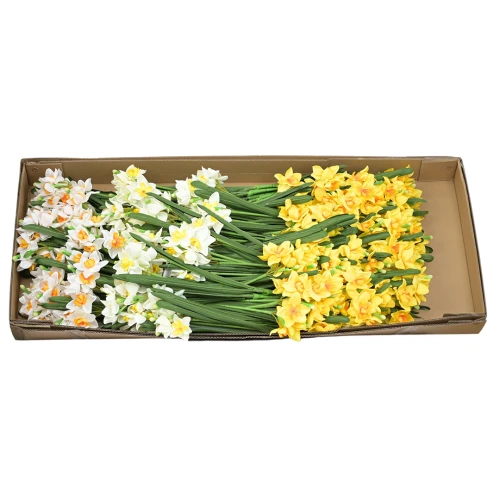 Karton bukietu narcyza mix kolorów 57 cm