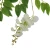 Sztuczna wisteria w kolorze białym 86 cm
