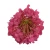Sztuczna hortensja gigant w kolorze malinowym 26 cm