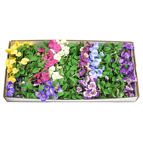 Karton bukietu bratka mix kolorów 30 cm