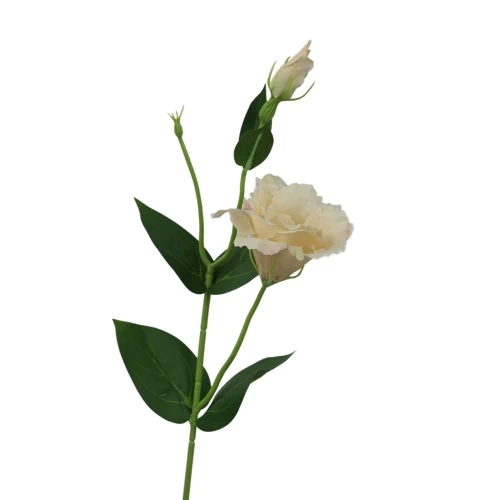 Sztuczna eustoma na piku w kolorze chałwy 50 cm