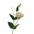 Sztuczna eustoma na piku w kolorze chałwy 50 cm