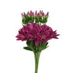 Sztuczny klematis na piku w kolorze fuksji 47 cm