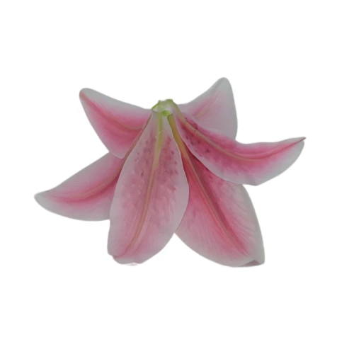 Sztuczna główka lilii w kolorze różowym 17 cm