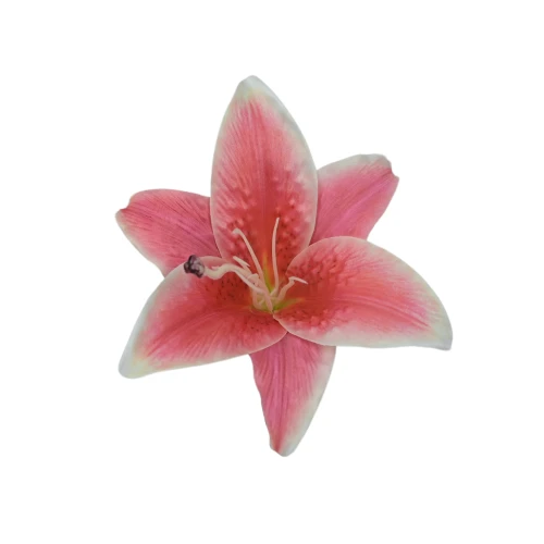 Sztuczna główka lilii w kolorze ciemnym różu 17 cm