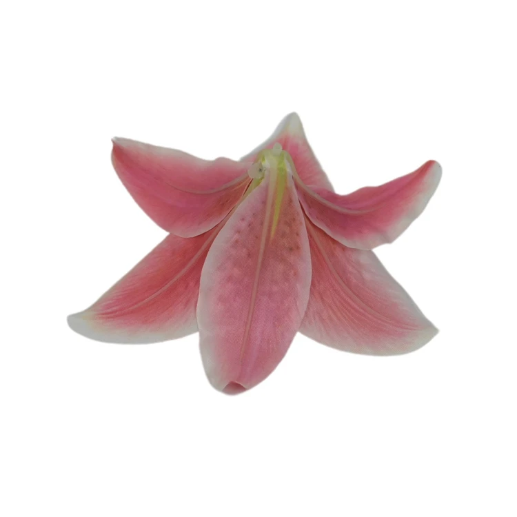Sztuczna główka lilii w kolorze ciemnym różu 17 cm