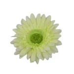 Sztuczna główka gerbery w kolorze jasno zielonym 9 cm