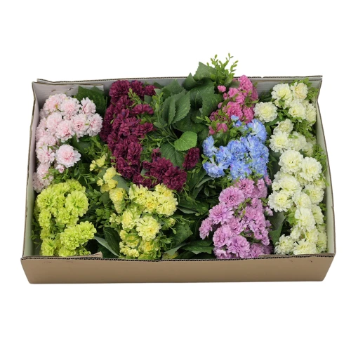 Sztuczne santini na piku karton mix kolorów 36 cm