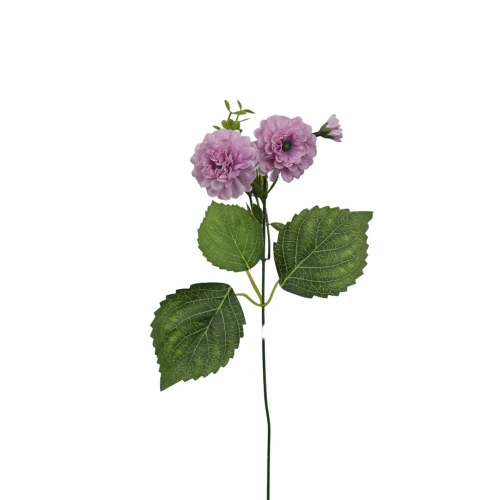 Santini na piku 36 cm