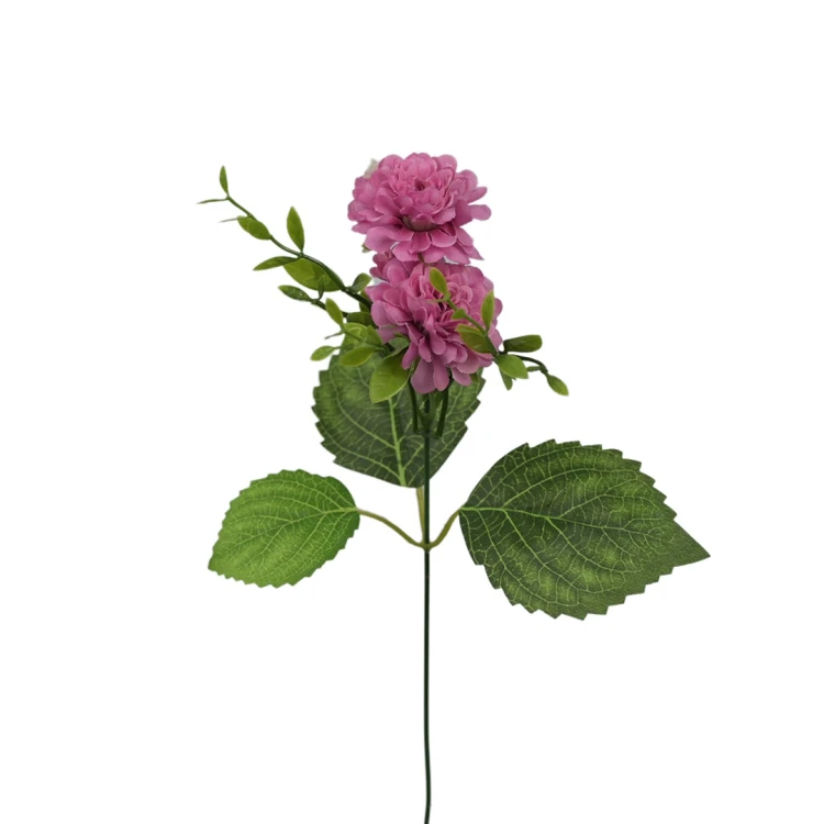 Santini na piku 36 cm