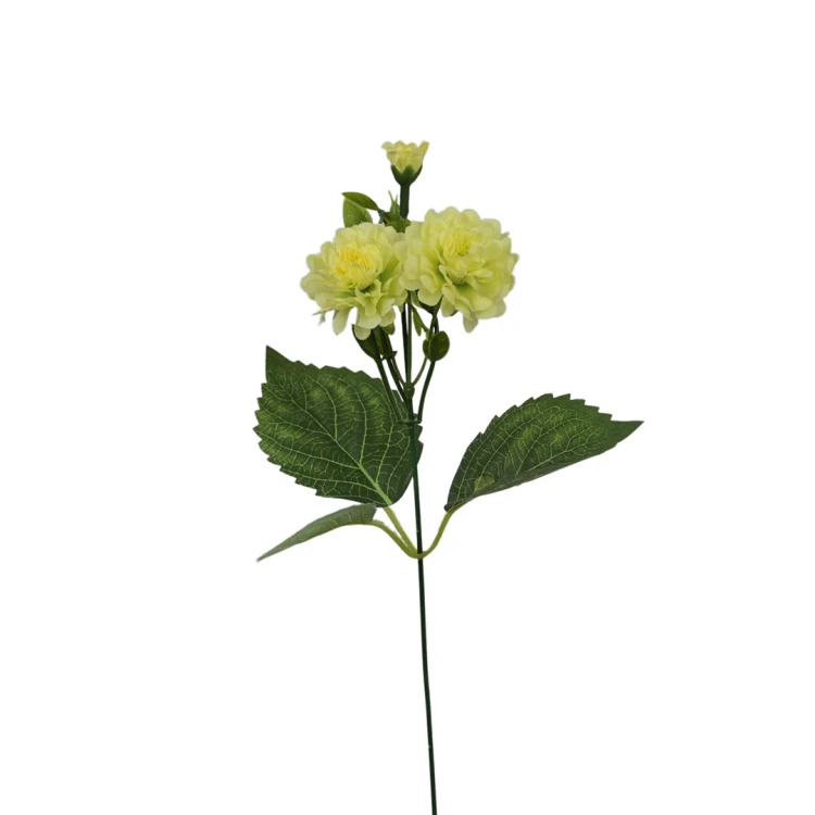 Santini na piku 36 cm