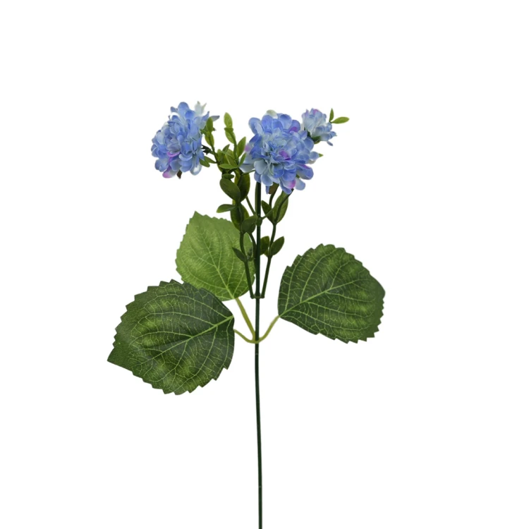 Santini na piku 36 cm