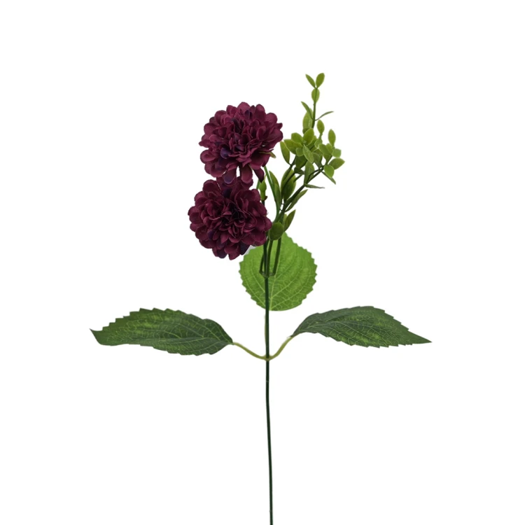 Santini na piku 36 cm