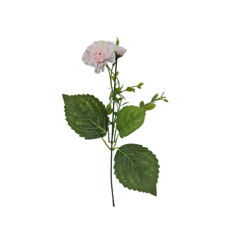 Santini na piku 36 cm