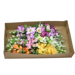 Karton bukietu mieszanego z magnolią mix kolorów 70 cm