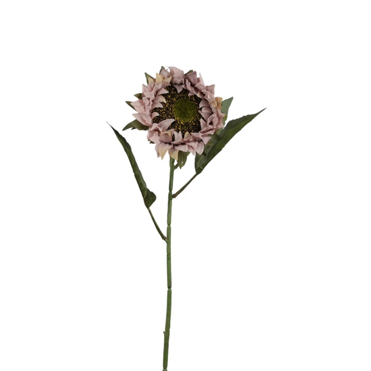 Słonecznik 77 cm