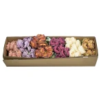 Karton bukietu piwonii x9 mix kolorów 44 cm