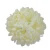 Sztuczna chryzantema ananas w kolorze kremowym 14 cm