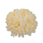 Sztuczna chryzantema ananas w kolorze brzoskwiniowym 14 cm