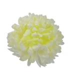 Sztuczna chryzantema ananas w kolorze białym z zielonym środkiem 14 cm