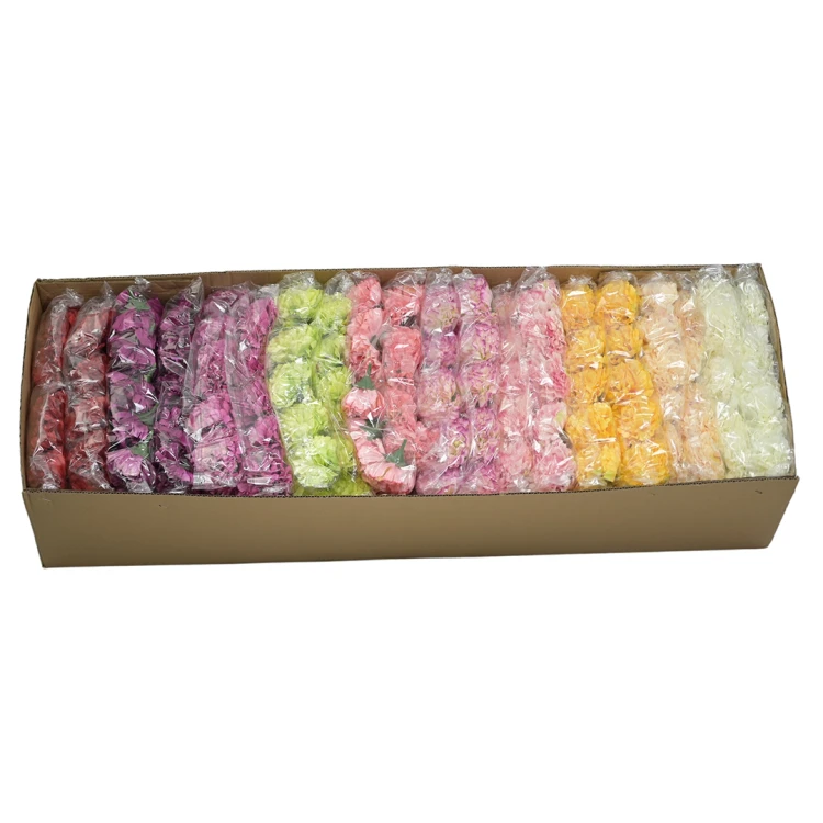 Karton goździka mix wiosenny 8 cm