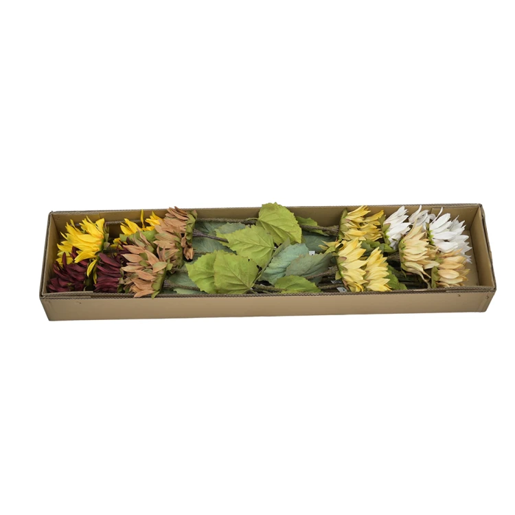 Karton słonecznika pojedynczego mix kolorów 68 cm