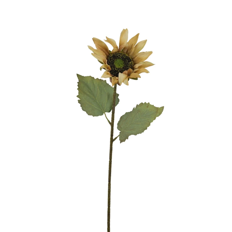 Słonecznik 68 cm