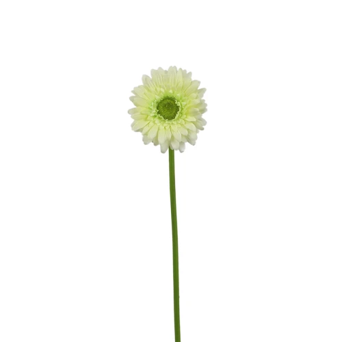 Kwiat sztuczny, gerbera w kolorze jasno zielonym 47 cm