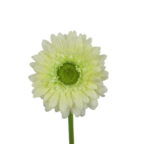 Kwiat sztuczny, gerbera w kolorze jasno zielonym 47 cm